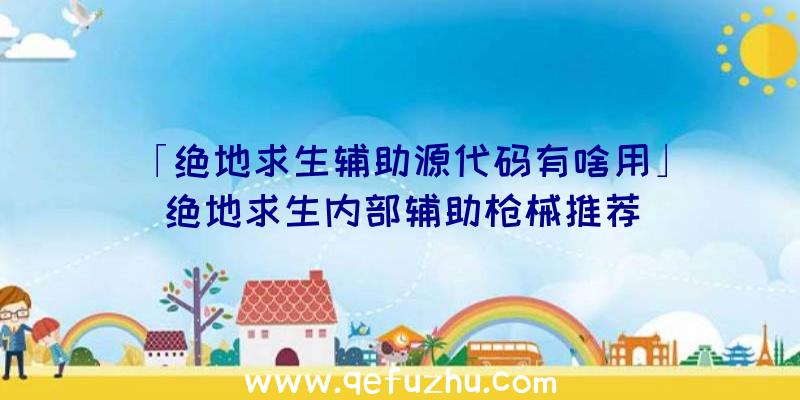 「绝地求生辅助源代码有啥用」|绝地求生内部辅助枪械推荐